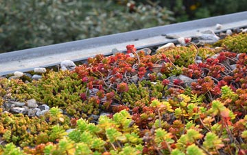 the cost of Rowley Park green roof installation
